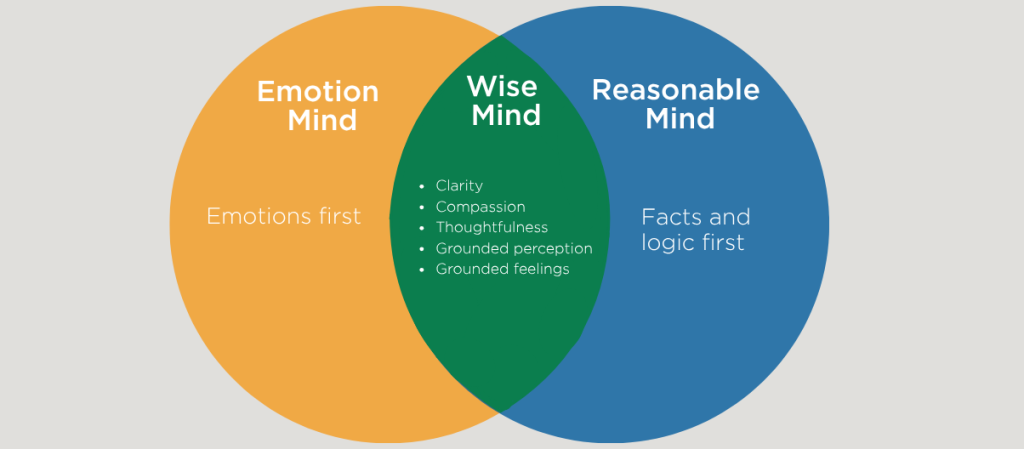 Use the Emotion–Logic Framework