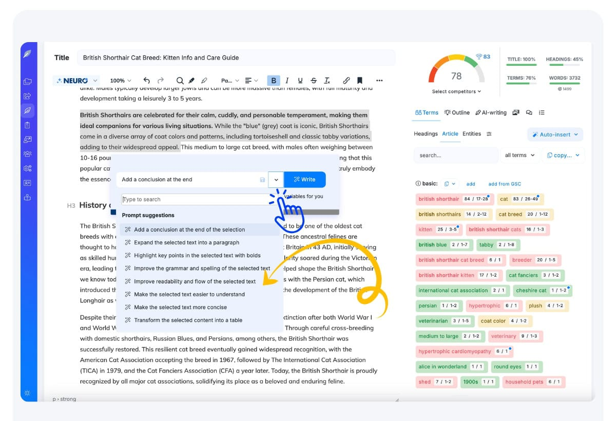 NEURONwriter - Image 5