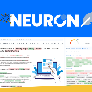 NEURONwriter